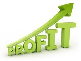 Petit investissement rentable : parking, effet de levier (forex, options binaires…), vache, pièces d’or ?